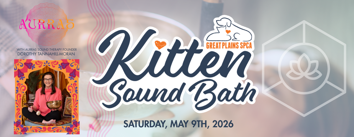 Kitten Sound Bath
